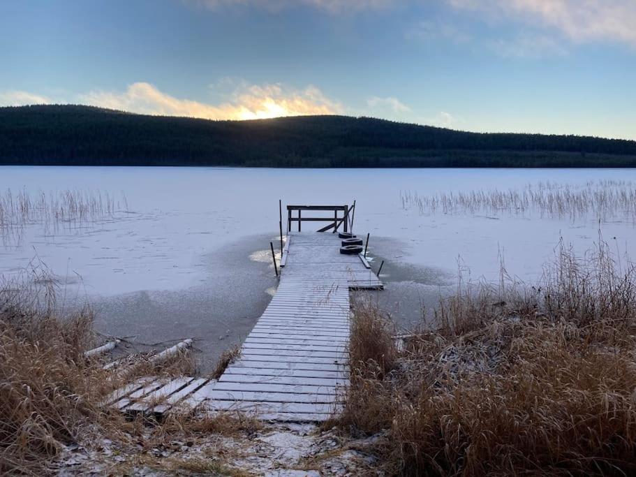 Lakeside Wilderness Cabin ヨックモック エクステリア 写真