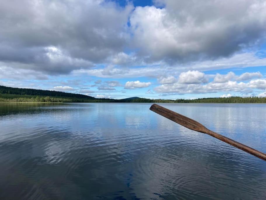 Lakeside Wilderness Cabin ヨックモック エクステリア 写真