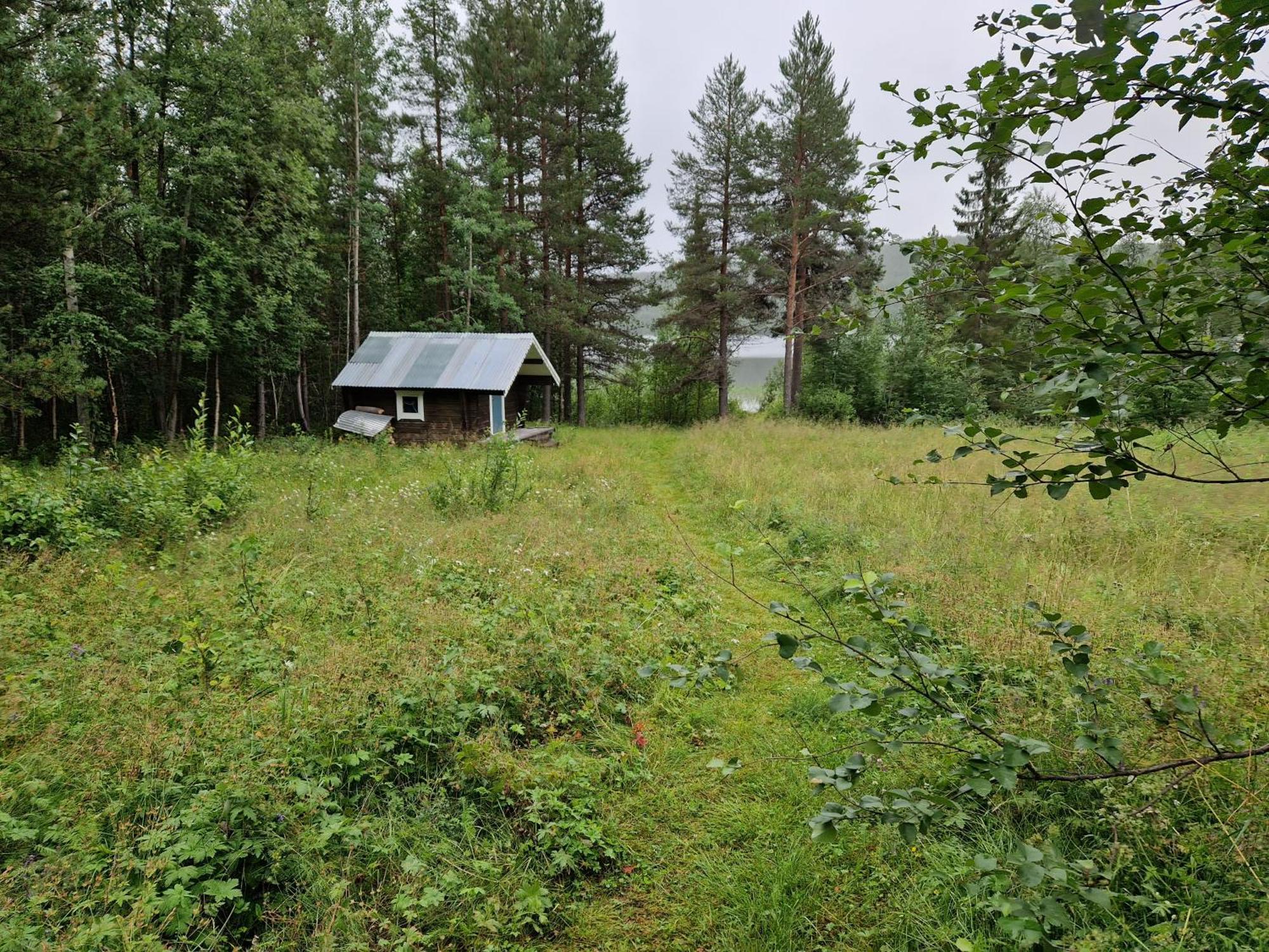 Lakeside Wilderness Cabin ヨックモック エクステリア 写真