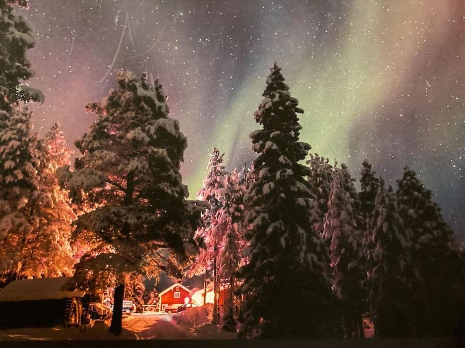 Lakeside Wilderness Cabin ヨックモック エクステリア 写真
