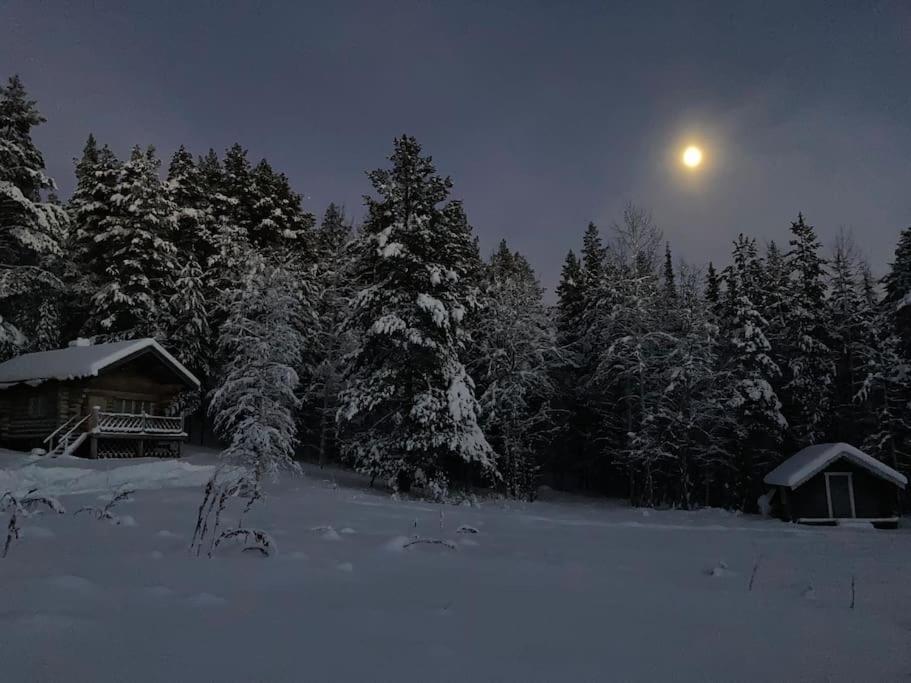 Lakeside Wilderness Cabin ヨックモック エクステリア 写真