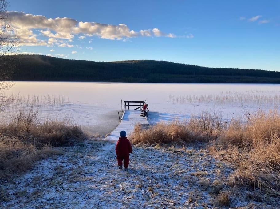 Lakeside Wilderness Cabin ヨックモック エクステリア 写真
