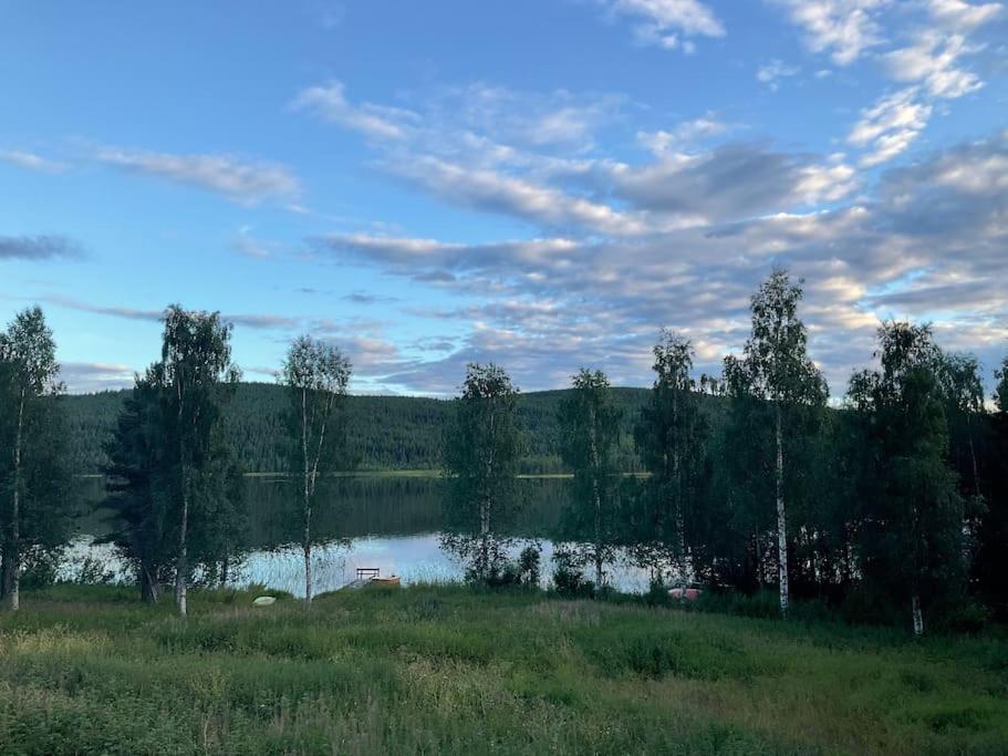 Lakeside Wilderness Cabin ヨックモック エクステリア 写真