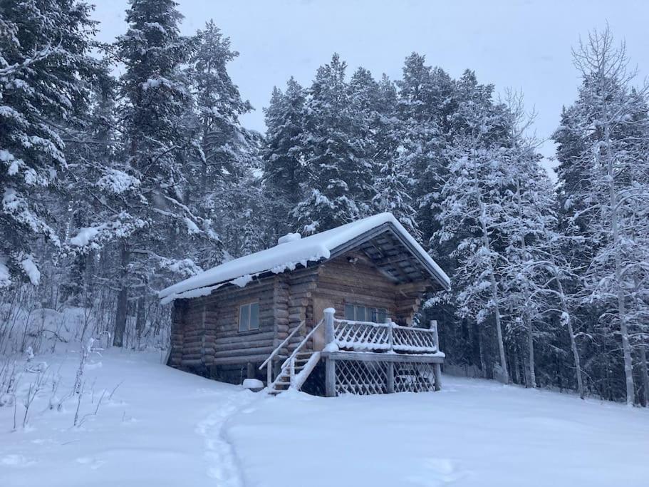 Lakeside Wilderness Cabin ヨックモック エクステリア 写真