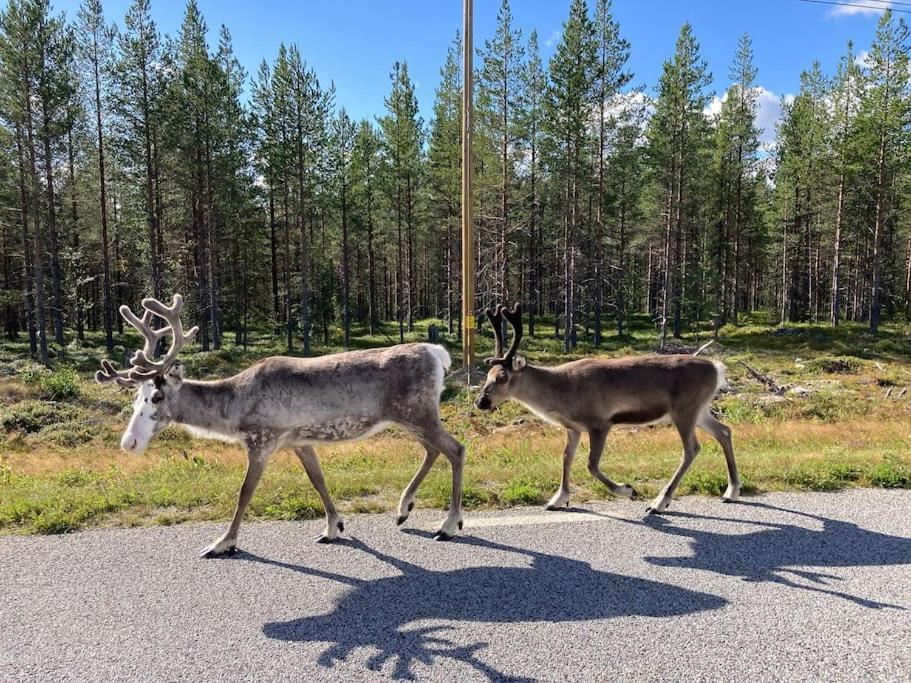 Lakeside Wilderness Cabin ヨックモック エクステリア 写真