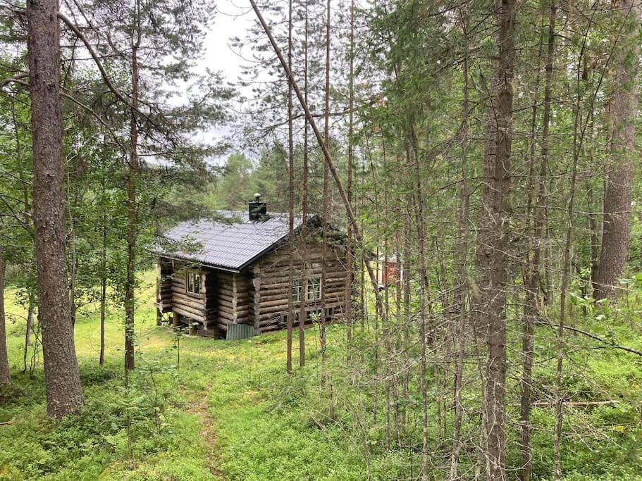 Lakeside Wilderness Cabin ヨックモック エクステリア 写真